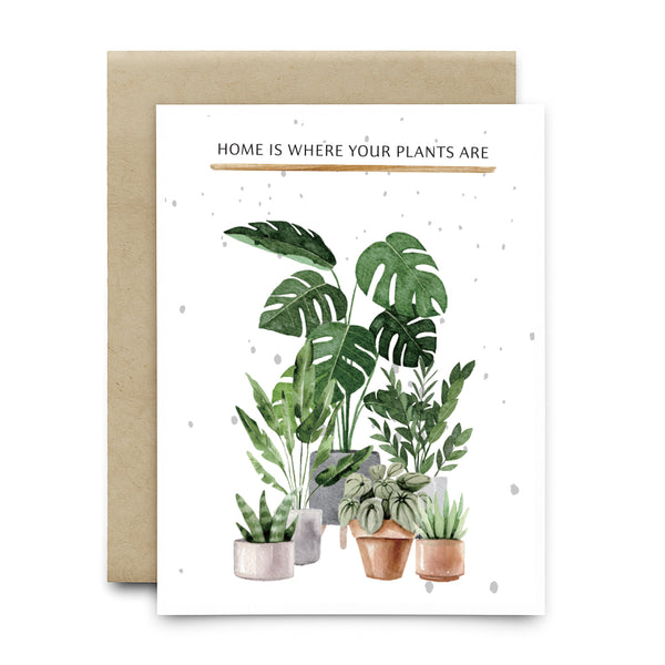 כרטיס ברכה שתיל - HOME IS WHERE YOUR PLANTS ARE