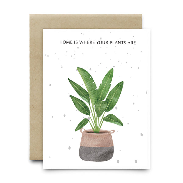 כרטיס ברכה שתיל - HOME IS WHERE YOUR PLANTS ARE