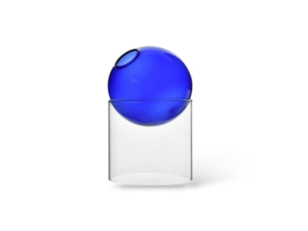 ואזה נורדית בהרכבה (מתאימה ככלי לייחורים)