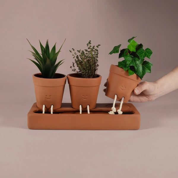SELF-CARE PLANTER - TRIO